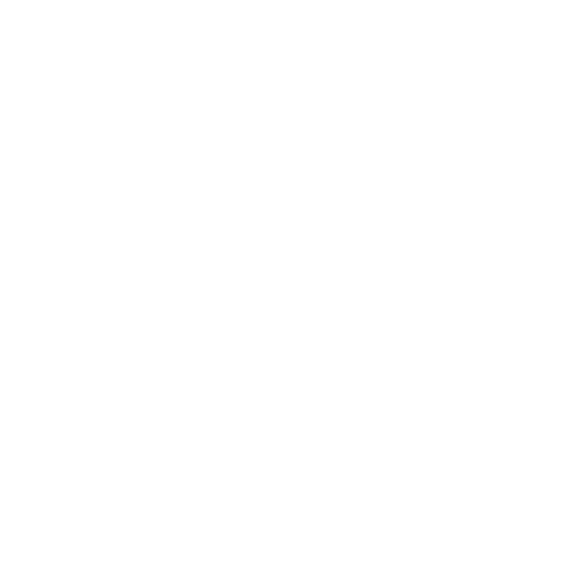 SolidDefense Heidelberg Logo Weiss